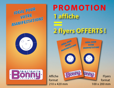  Affiche 210x420 + Flyers 100x200 